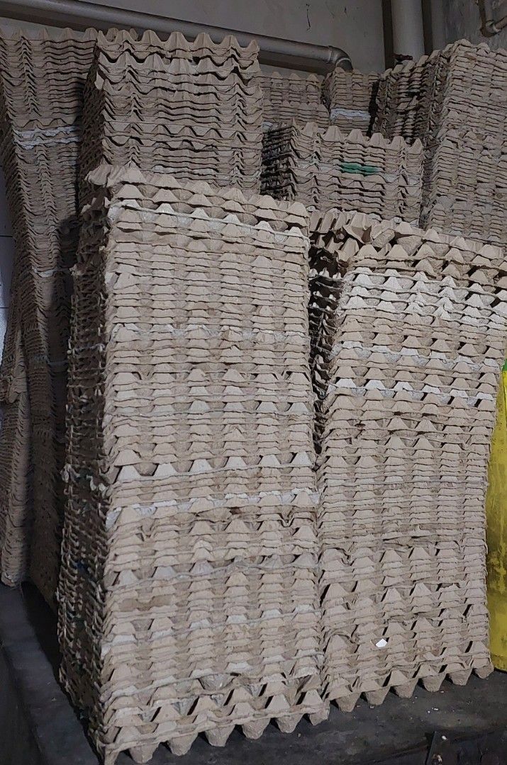 EGG TRAY CARTON (Category: Construction Tools & Equipment) located in Quezon City. Submitted by mysticeagle_7e172b (Listing ID 1456903005, Image 2). Description: Clean egg tray cartons 2500 pcs. available .Wrapped on green plastics per hundred..
