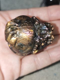 (Category: ) located in . Submitted by dc.watergold (Listing ID 1456875530, Image 1). Description: .