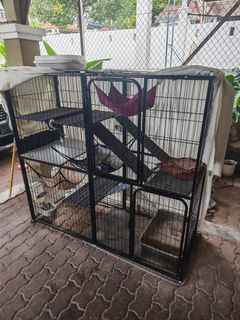 (Category: ) located in . Submitted by azrinaziz (Listing ID 1456951883, Image 1). Description: .