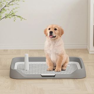 （分類：）位於 。 由 hockhurki514149 提交（商品編號 1456799492，圖片 1）。簡介： 。
