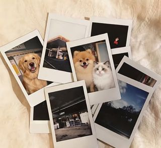 (Category: ) located in . Submitted by diplo.loopy (Listing ID 1456927457, Image 1). Description: .