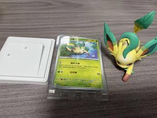 （分類：）位於 。 由 ctttccc 提交（商品編號 1456850875，圖片 1）。簡介： 。