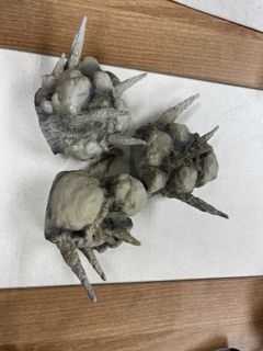 （分類：）位於 。 由 whitedol 提交（商品編號 1456902941，圖片 1）。簡介： 。