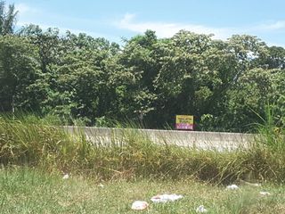 (Category: ) located in . Submitted by panadolee (Listing ID 1456792460, Image 1). Description: .