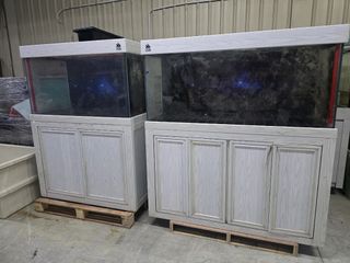 (Category: ) located in . Submitted by aquariumman (Listing ID 1456920331, Image 1). Description: .