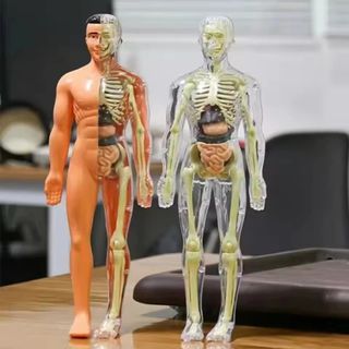 （分類：）位於 。 由 kanjerenog74589 提交（商品編號 1457137194，圖片 1）。簡介： 。