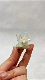（分類：）位於 。 由 js_minerals_collection 提交（商品編號 1457059980，圖片 1）。簡介： 。