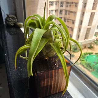 （分類：）位於 。 由 eyip340340 提交（商品編號 1457000392，圖片 1）。簡介： 。