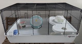 (Category: ) located in . Submitted by tinkleling (Listing ID 1456962453, Image 1). Description: .