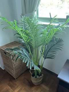 (Category: ) located in . Submitted by shar28 (Listing ID 1456965541, Image 1). Description: .