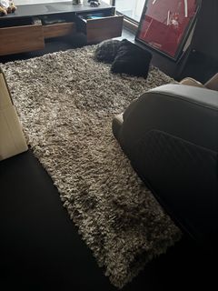 (Category: ) located in . Submitted by tammara (Listing ID 1457065483, Image 1). Description: .