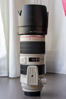 Canon Cameras Collection item 2