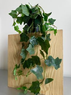 (Category: ) located in . Submitted by mons.trees (Listing ID 1456981850, Image 1). Description: .
