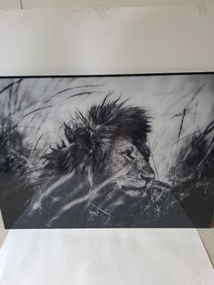 （分類：）位於 。 由 tky2345 提交（商品編號 1457000802，圖片 1）。簡介： 。