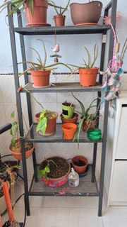 (Category: ) located in . Submitted by anitm (Listing ID 1456994912, Image 1). Description: .