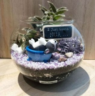 (Category: ) located in . Submitted by lushglassdoor (Listing ID 1457099977, Image 1). Description: .