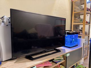 (Category: ) located in . Submitted by bobbytora (Listing ID 1457089077, Image 1). Description: .