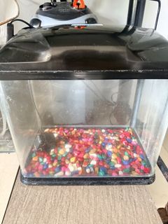 (Category: ) located in . Submitted by cyc26 (Listing ID 1456976175, Image 1). Description: .