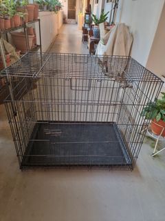 (Category: ) located in . Submitted by petstyle888 (Listing ID 1457062363, Image 1). Description: .