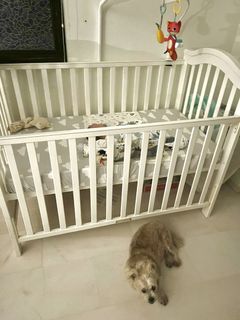 (Category: ) located in . Submitted by jinzueysai (Listing ID 1456974631, Image 1). Description: .