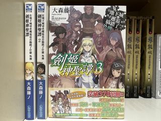 （分類：）位於 。 由 h92ifpbz3b 提交（商品編號 1457191481，圖片 1）。簡介： 。