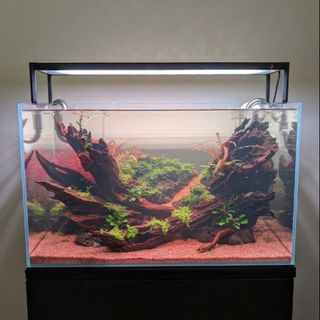 (Category: ) located in . Submitted by ascape (Listing ID 1457194945, Image 1). Description: .