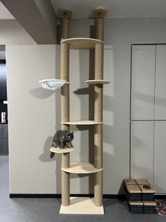 (Category: ) located in . Submitted by petstyle888 (Listing ID 1457182827, Image 1). Description: .