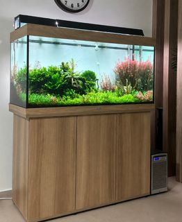 (Category: ) located in . Submitted by onjila (Listing ID 1457154878, Image 1). Description: .