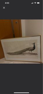 (Category: ) located in . Submitted by mam8533764 (Listing ID 1457165348, Image 1). Description: .
