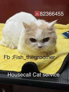 (Category: ) located in . Submitted by fish_thegroomer (Listing ID 1457317973, Image 1). Description: .