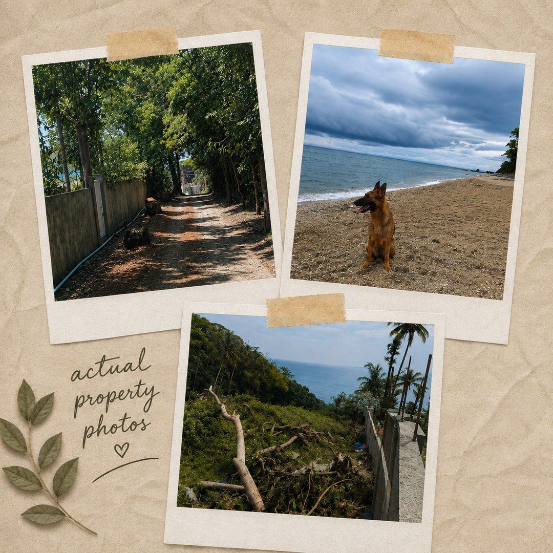 La Union Coastal Property (Category: Lot) located in Manila. Submitted by propertystudio.co (Listing ID 1457327021, Image 2). Description: A rare 2,112 sqm coastal property in La Union, composed of two titled lots measuring approximately 1,000 sqm and 1,112 sqm. The property has an existing concrete perimeter wall, a private and naturally green setting, and direct access to the beach. Set within the Sunrise Hills area, the property is surrounded 