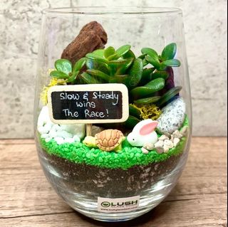 (Category: ) located in . Submitted by lushglassdoor (Listing ID 1457194177, Image 1). Description: .