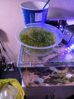 (Category: ) located in . Submitted by shaunhcy (Listing ID 1457307309, Image 1). Description: .