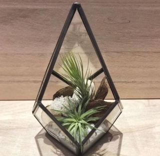 (Category: ) located in . Submitted by lushglassdoor (Listing ID 1457190957, Image 1). Description: .