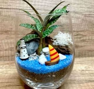 (Category: ) located in . Submitted by lushglassdoor (Listing ID 1457194533, Image 1). Description: .