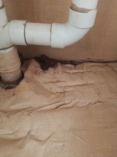 (Category: ) located in . Submitted by sonofcarpenter (Listing ID 1457161303, Image 1). Description: .
