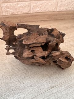 (Category: ) located in . Submitted by ornamental_rocks (Listing ID 1457229755, Image 1). Description: .