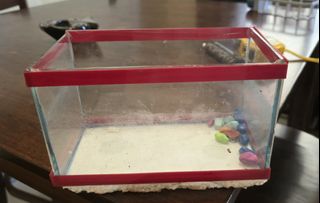(Category: ) located in . Submitted by cher0918 (Listing ID 1457171137, Image 1). Description: .