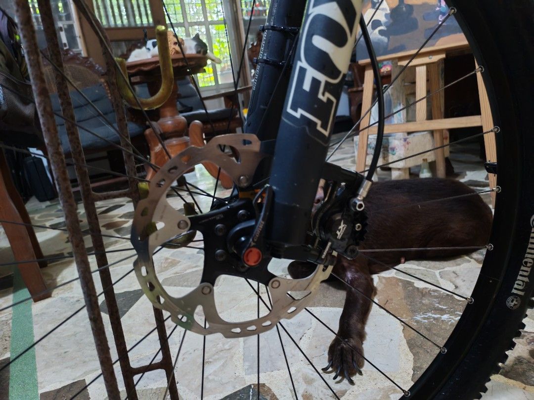 Specialized Epic Full Suspension Mountain Bike (Category: Bicycles) located in Caloocan City. Submitted by markgilsfe01926 (Listing ID 1457169228, Image 3). Description: - Specialized Epic Full Suspension Mountain Bike - Fox Float Front Fork - Shimano XT Drivetrain & Brakes - Answer Handlebars - Continental Tires - Perfect for cross-country and trail adventures - Message for more details!.
