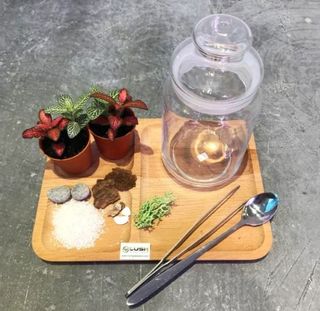 (Category: ) located in . Submitted by lushglassdoor (Listing ID 1457175113, Image 1). Description: .