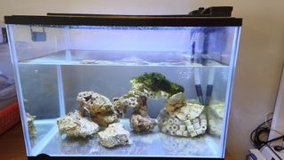 (Category: ) located in . Submitted by cslee4420 (Listing ID 1457199508, Image 1). Description: .