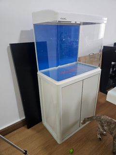 (Category: ) located in . Submitted by jalamass (Listing ID 1457222708, Image 1). Description: .