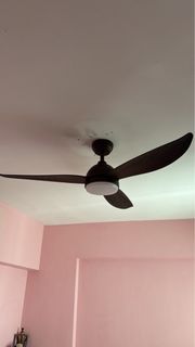 (Category: ) located in . Submitted by brownmunda (Listing ID 1457356400, Image 1). Description: .