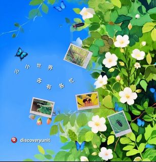 （分類：）位於 。 由 discoveryunit 提交（商品編號 1457368374，圖片 1）。簡介： 。