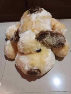 (Category: ) located in . Submitted by pitpit5 (Listing ID 1457351570, Image 1). Description: .