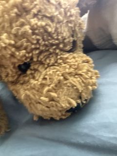 (Category: ) located in . Submitted by ship_tcgmarket (Listing ID 1457429451, Image 1). Description: .