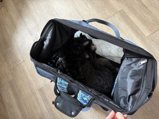 （分類：）位於 。 由 bossbuddy 提交（商品編號 1457349634，圖片 1）。簡介： 。