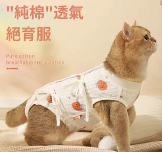 （分類：）位於 。 由 mslamlammom 提交（商品編號 1457399090，圖片 1）。簡介： 。