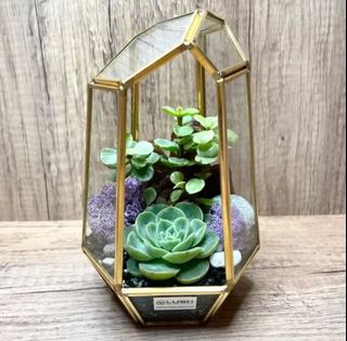 (Category: ) located in . Submitted by lushglassdoor (Listing ID 1457432805, Image 1). Description: .