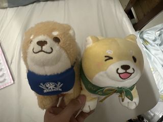 （分類：）位於 。 由 mpngsbb7j6 提交（商品編號 1457437240，圖片 1）。簡介： 。